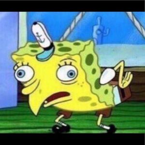 Meet your Posher, Mitch